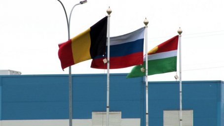 Публикации "Прекрасной России" о выводе прибыли в Бельгию находят подтверждение у директора
